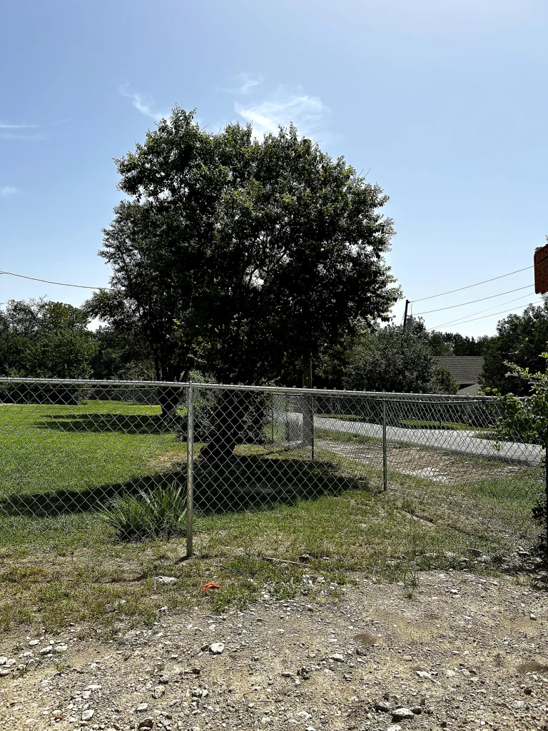 chain-link-fence-backyard-residential-dallas