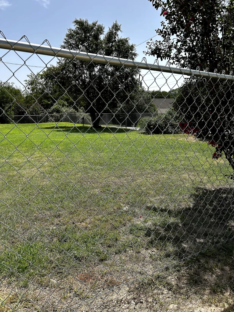 chain-link-fence-backyard-residential-dallas