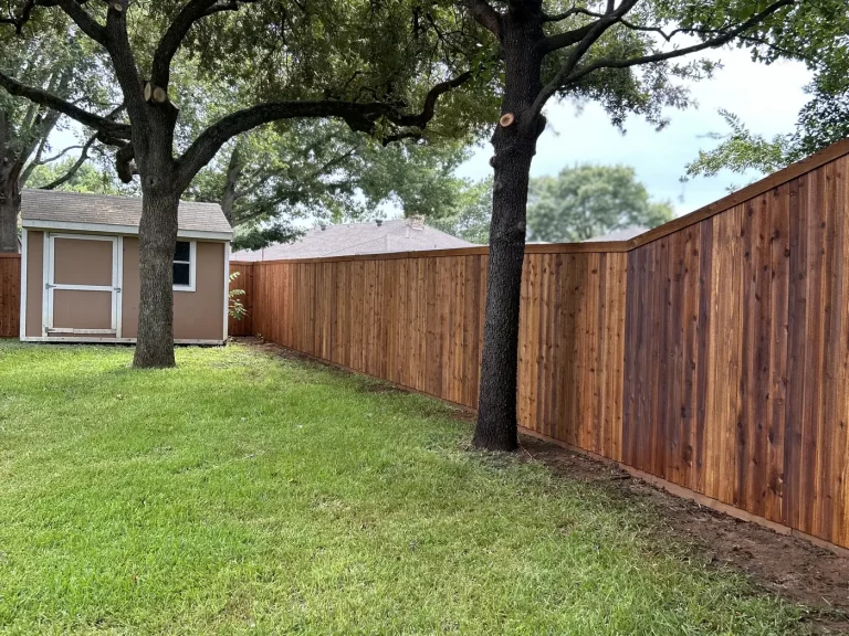 297 linear feet of stained cedar privacy fence running past a storage shed in Arlington, TX