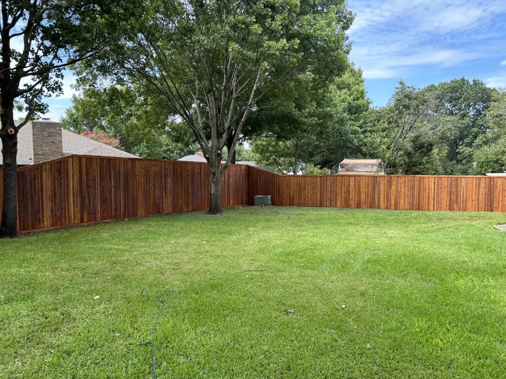 Finished cedar fence with trim in Arlington, TX enclosing a large backyard around a mature tree