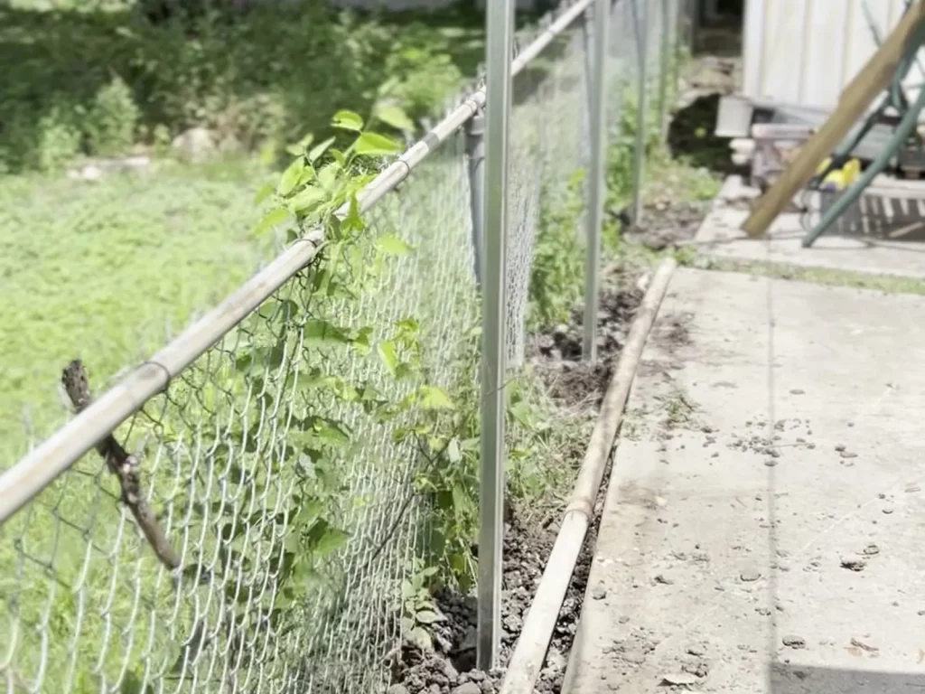 New fence posts standing along an old chain link line before metal panels are installed in Fort Worth, TX
