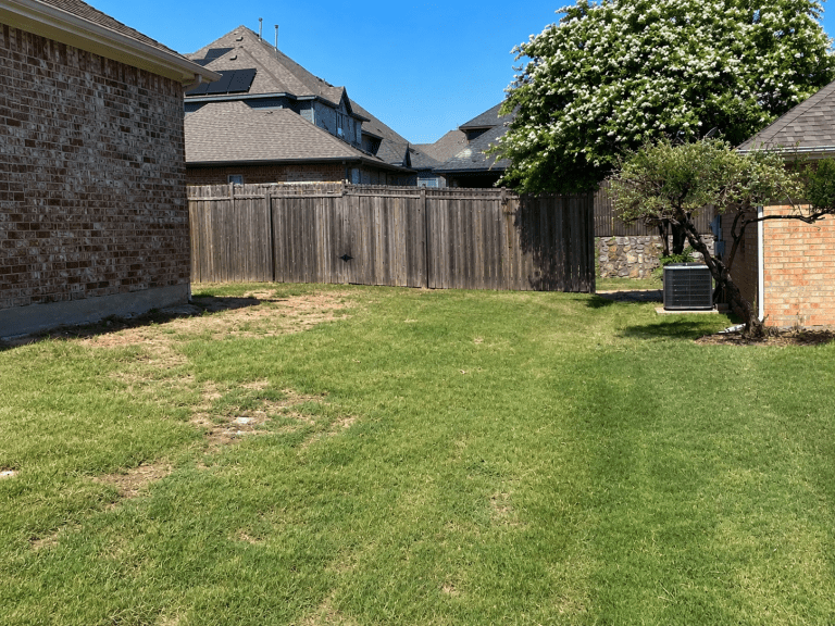 Before photo of a residential wood fence replacement project in Frisco, Texas backyard