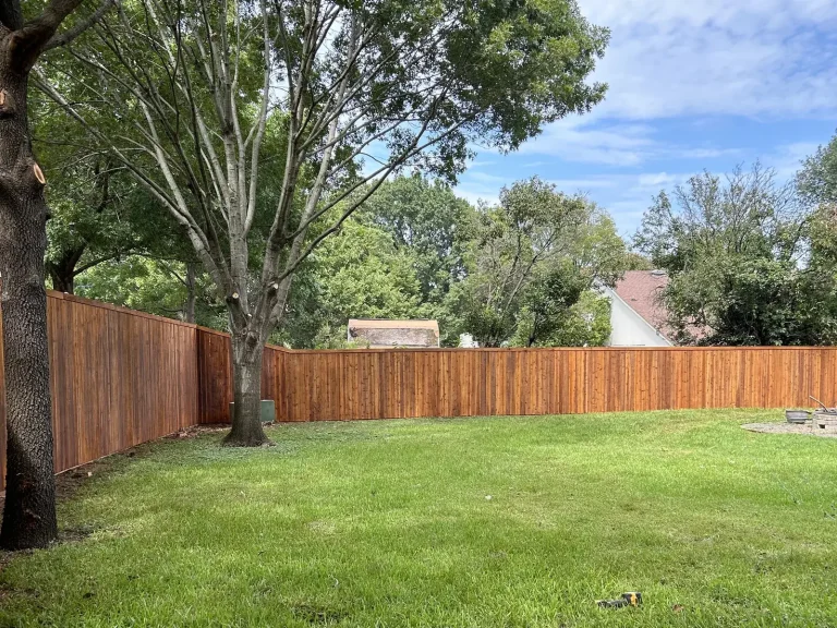 Finished cedar privacy fence with a custom gate shaded by mature trees in Arlington, TX